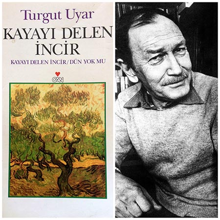 Behçet Necatigil Şiir Ödülü Turgut Uyar'a verildi